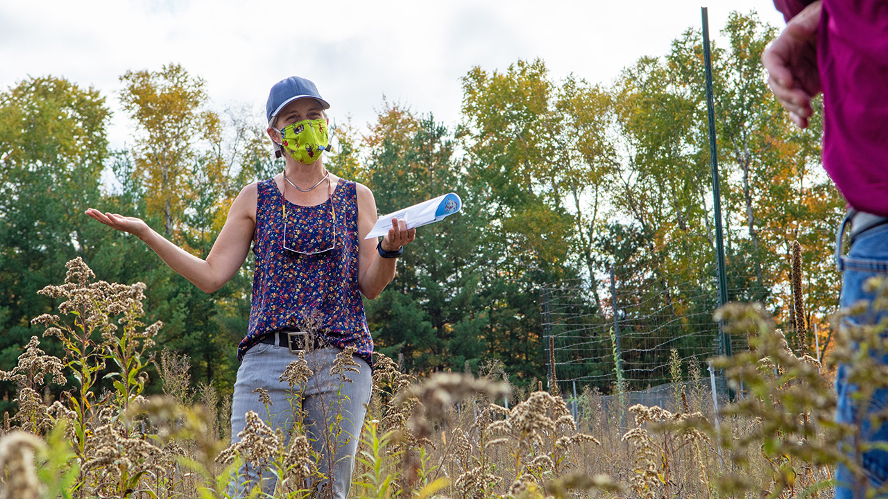 Elizabeth Borer, PhD, professor in the Department of Ecology, Evolution, and Behavior, discusses the Nutrient Network project at Cedar Creek Ecosystem Science Reserve.