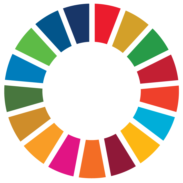 SDG color wheel. 