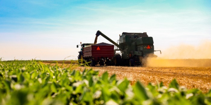 A large piece of farm equipment harvests crops on farmland.