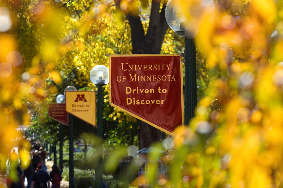 The University of Minnesota "Driven to Discover" hangs on a lamp post surrounded by trees that are turning fall colors.