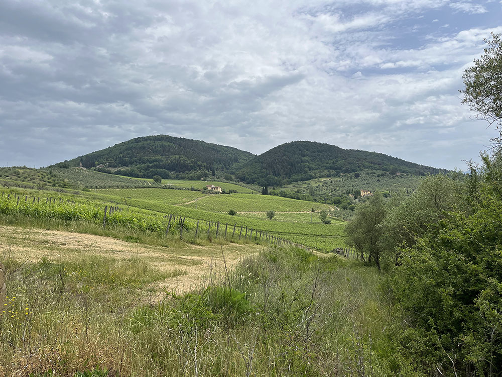 A biodynamic farm near Florence