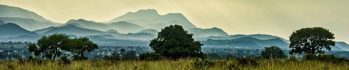 scenic vista of mountains and trees in Uganda