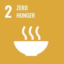 SDG 2: Zero Hunger Icon