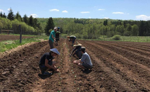 Students working in the field at the UMD Land Lab. 